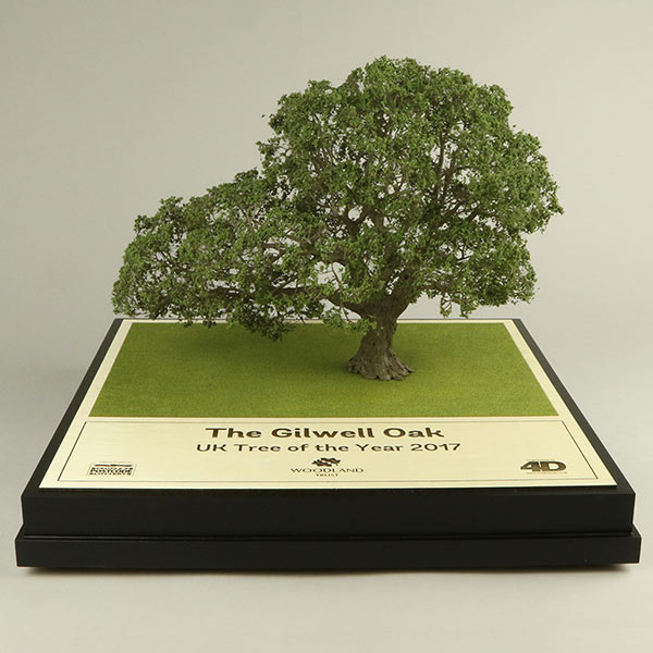Gilwell oak model tree