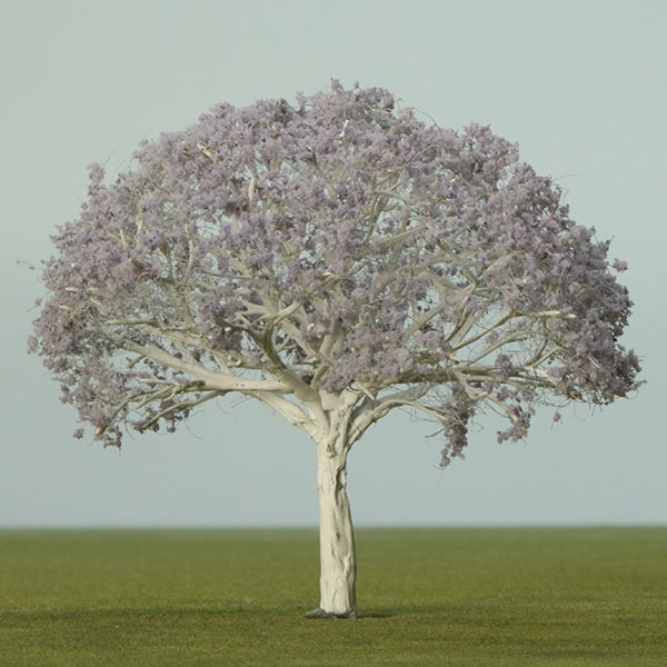 Model Jacaranda tree