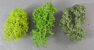 Light, medium & dark green lichen