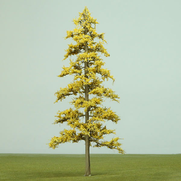 Larch model tree