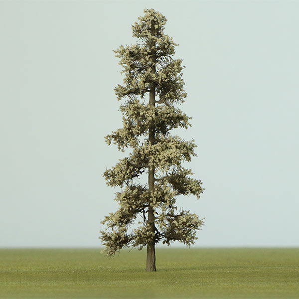 European larch model tree