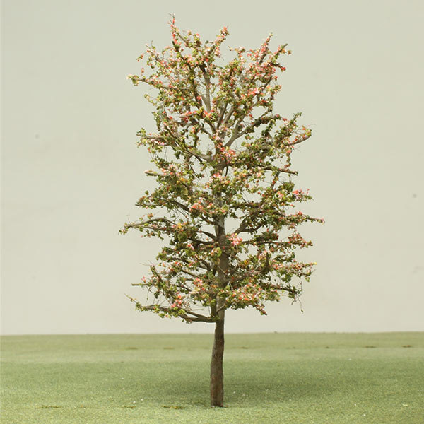 'Burgundy flush' sweet gum model tree