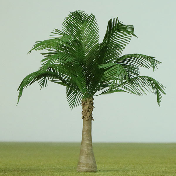 Chinese fan palm model tree