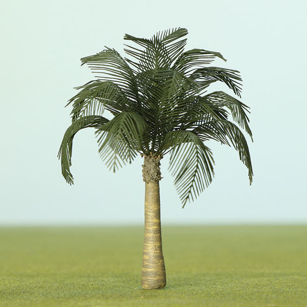 Chinese fan palm model tree