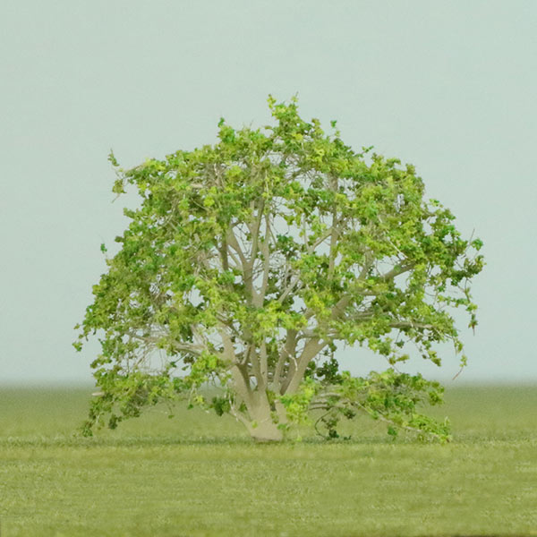 Magnolia tree model tree