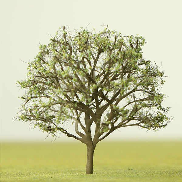 Yulan magnolia model tree