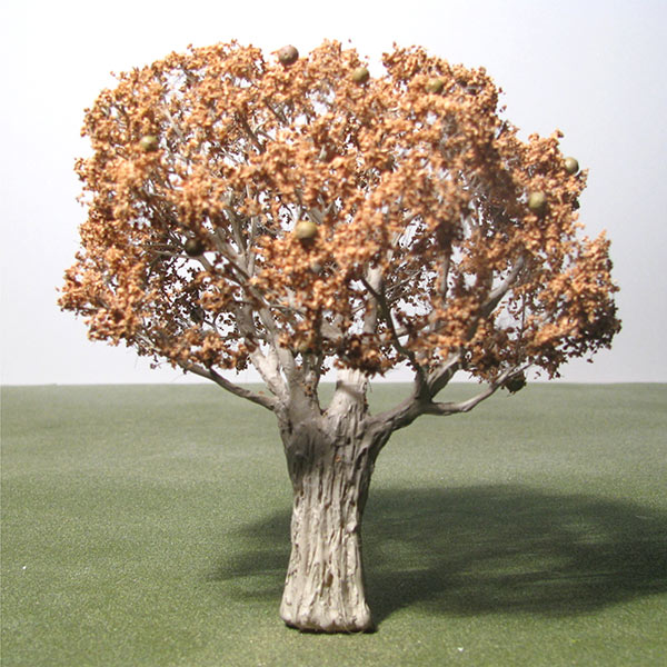 Model Apple trees