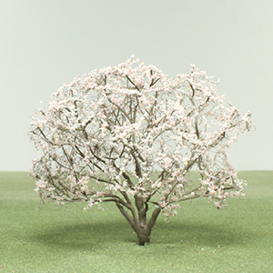 Crab apple model tree