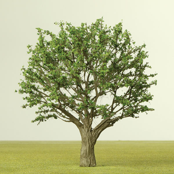 Mulberry model tree