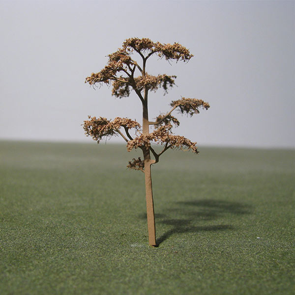 Scots pine model tree