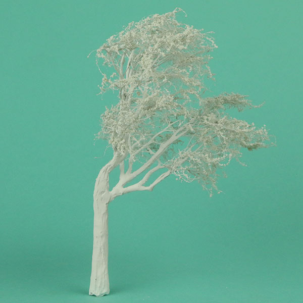 Scots pine model tree