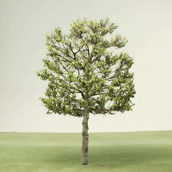 Model Plane tree
