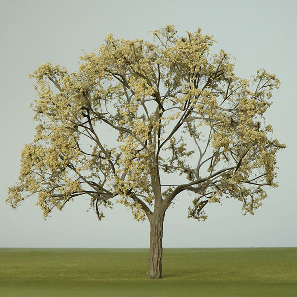 Model London plane tree