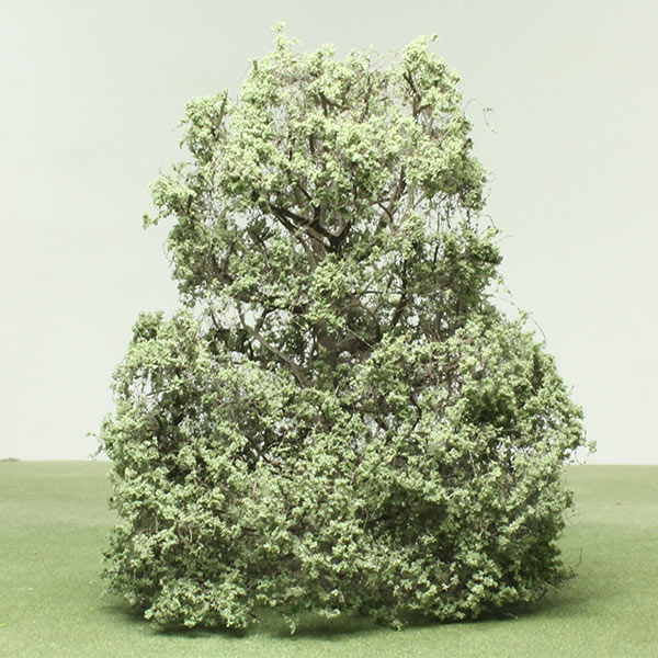 Plum pine model tree