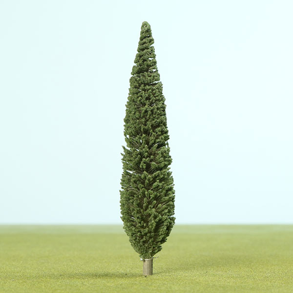 Poplar species model trees