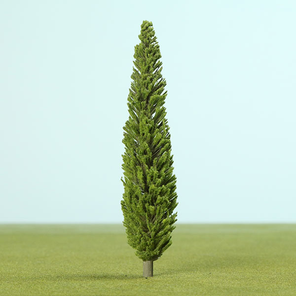 Poplar model tree