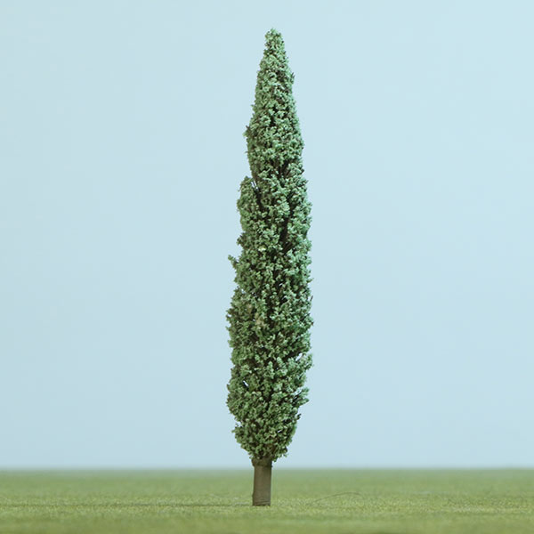 Lombardy poplar model tree