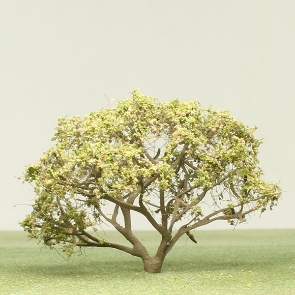 Ghaf species model trees