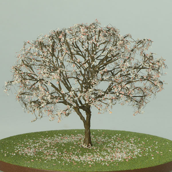 Model cherry tree in Spring foliage