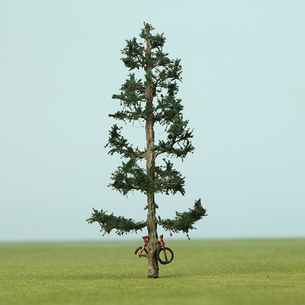 Douglas Fir model tree