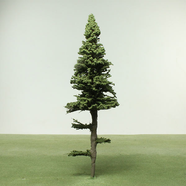 Douglas fir model tree