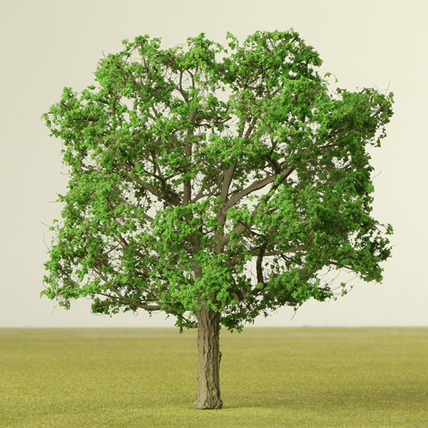 English oak model tree