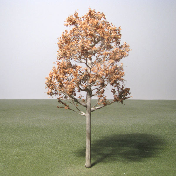 White-fruited rowan model tree