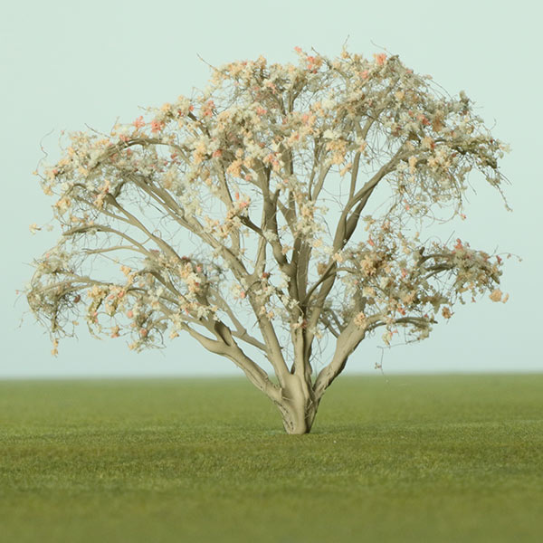 Athel Pine model tree