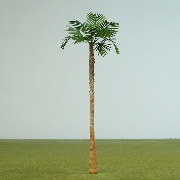 Mexican fan palm model tree