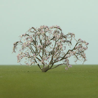 Japanese Wisteria model tree