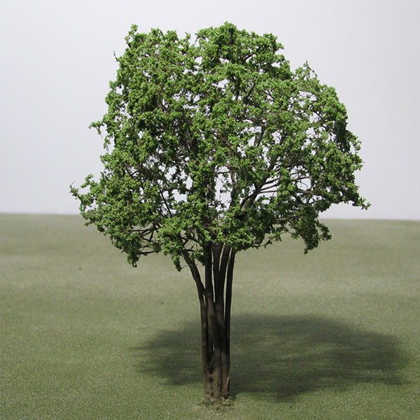 Christ's thorn jujube model tree