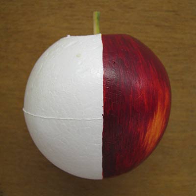 How to make a model Apple Prop for display