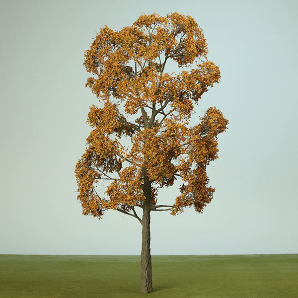 Model tree in Autumn foliage