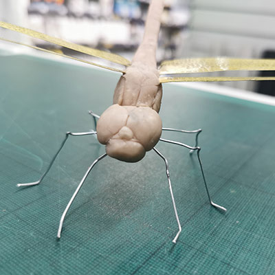 Model dragonfly showing aluminium leg armature