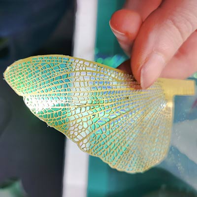 Trimmed Iridescent Film applied to a sample wing