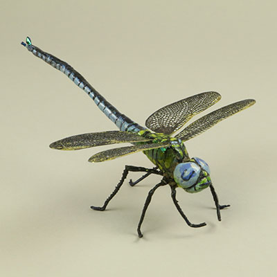 Finished model of a Royal Dragonfly