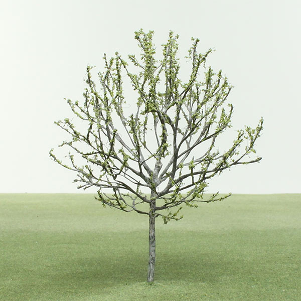 Model tree in Spring foliage