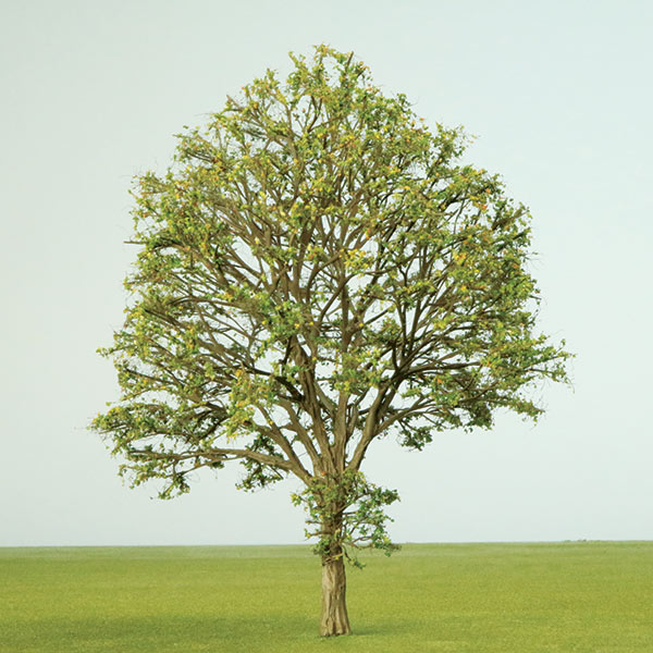 600mm deciduous model tree