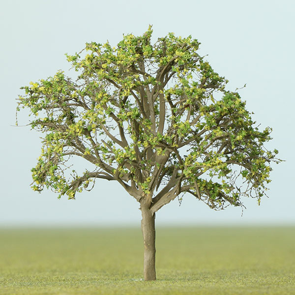 Generic deciduous model tree