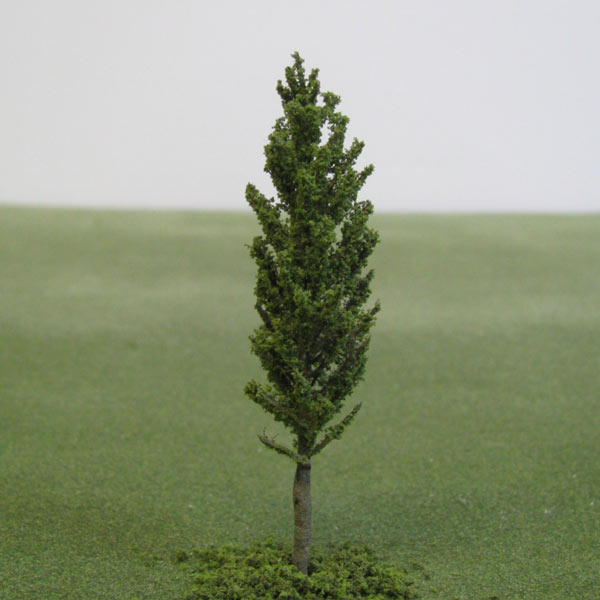 Pyramidal european hornbeam model tree