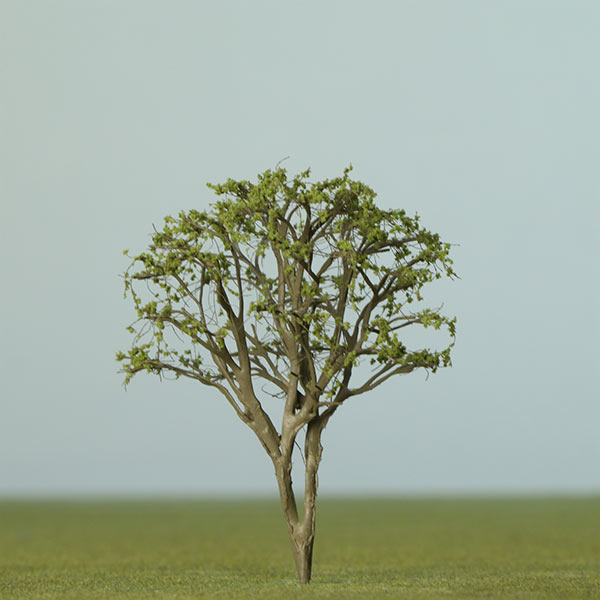 Multi-stem model tree