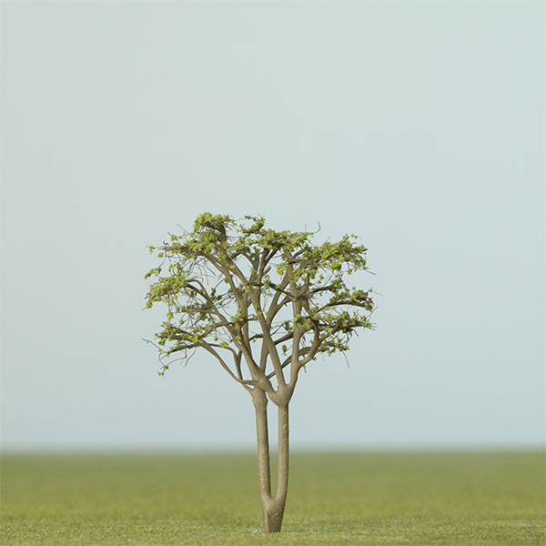 Multi-stem model tree