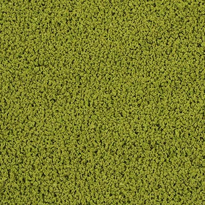 Light green texture