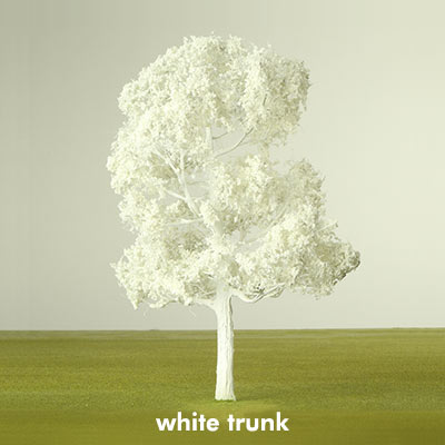 White trunk tree