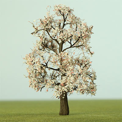 100mm cherry blossom tree with a dark trunk